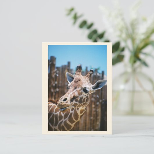 Spot Briefkaart (Staand voorkant)