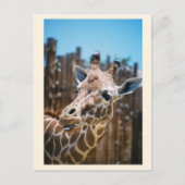 Spot Briefkaart (Voorkant)