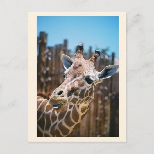 Spot Briefkaart (Voorkant)