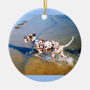 Spot de hond keramisch ornament