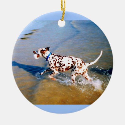 Spot de hond keramisch ornament (Voorkant)