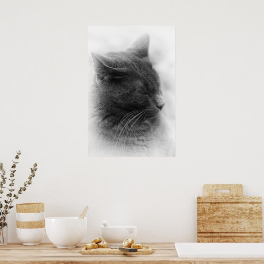 Spot de Magnificous Gray Imperious Cat Poster (Keuken)