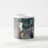 Spot en Evan Mok (Center)