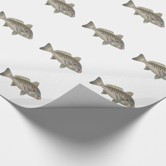 Spot Fish Cadeaupapier (Hoek)