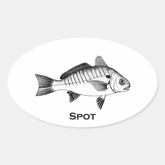 Spot Fish (getiteld) Ovale Sticker (Voorkant)