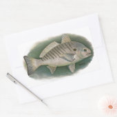 Spot Fish Logo Rechthoekige Sticker (Envelop)