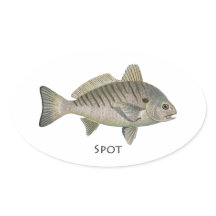 Spot Fish