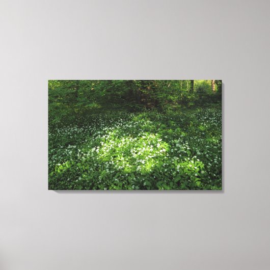 Spot knoflook canvas afdruk (Voorkant)