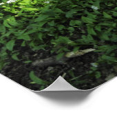 Spot knoflook poster (Hoek)