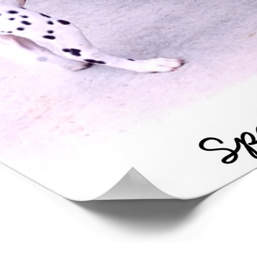 Spot naar de redding poster (Hoek)