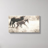 Spot Plays Canvas Afdruk (Voorkant)