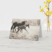 Spot Plays Kaart (Gele Bloem)