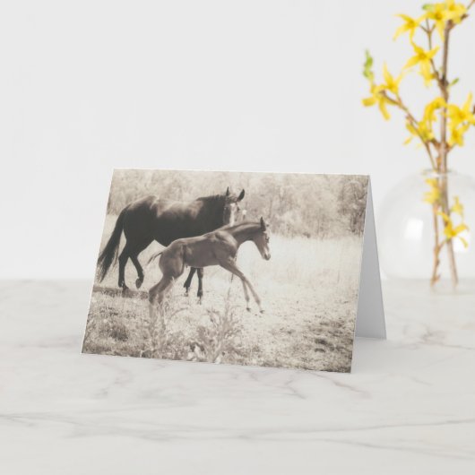 Spot Plays Kaart (Gele Bloem)