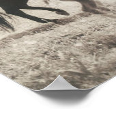 Spot Plays Poster (Hoek)