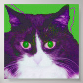 Spot Poster (Voorkant)