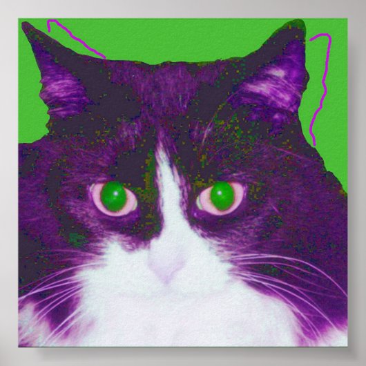 Spot Poster (Voorkant)