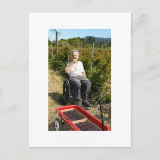 Spot van Olallieberries in Noord-Californië Briefkaart