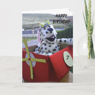 Spot vliegt zijn verbeelding kaart