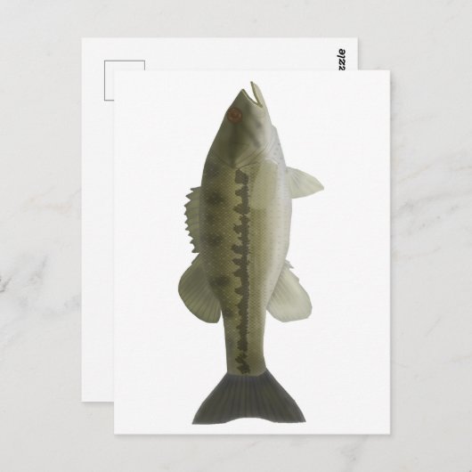 Spotas Briefkaart (Voorkant / Achterkant)