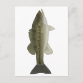 Spotas Briefkaart (Voorkant)