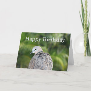 Spotdove Birthday Card Kaart