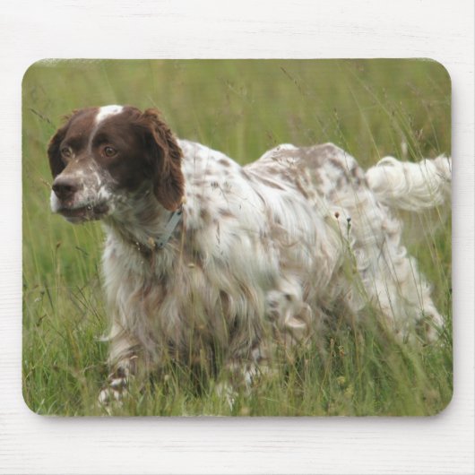 Spoted English Setter Dog Muismat (Voorkant)