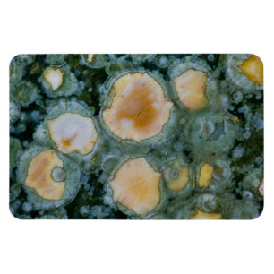 Spoted Ocean Jasper Magneet