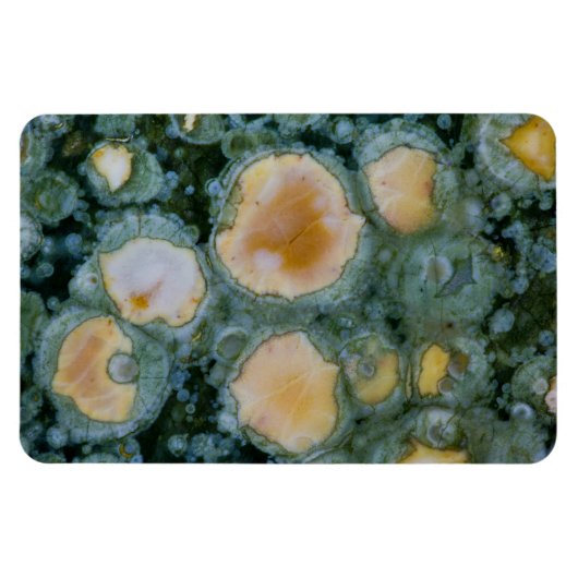 Spoted Ocean Jasper Magneet (Horizontaal)