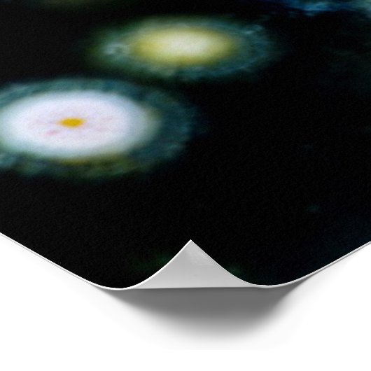 Spoted Ocean Jasper Poster (Hoek)