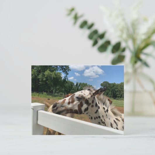 SpotFoal Briefkaart (Staand voorkant)