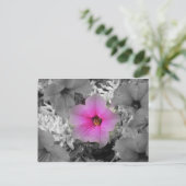 Spotlight Briefkaart (Staand voorkant)