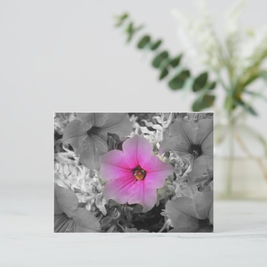 Spotlight Briefkaart (Staand voorkant)