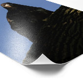 Spotlight Foto Afdruk (Hoek)