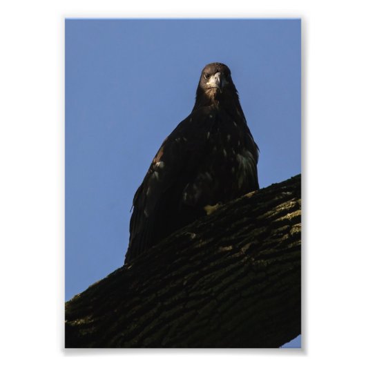 Spotlight Foto Afdruk (Voorkant)