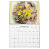 Spotlight op de Kalender van de Wildbloemen van Sp (Feb 2027)