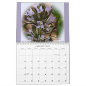 Spotlight op de Kalender van de Wildbloemen van Sp (Jan 2027)