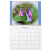 Spotlight op de Kalender van de Wildbloemen van Sp (Mar 2027)