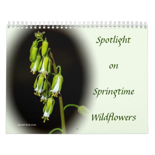 Spotlight op de Kalender van de Wildbloemen van Sp (Hoes)