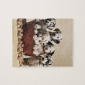 Spotlight van Liefde: Dalmatische Verrukking Legpuzzel (Horizontaal)