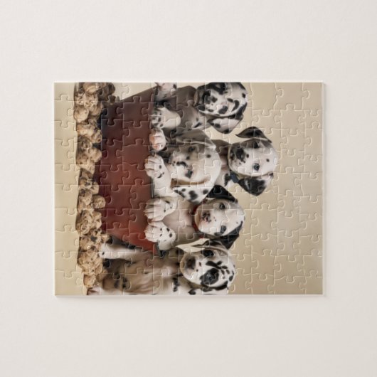 Spotlight van Liefde: Dalmatische Verrukking Legpuzzel (Horizontaal)