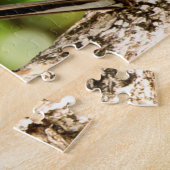 Spotlijster Florida. Legpuzzel (Zijkant)