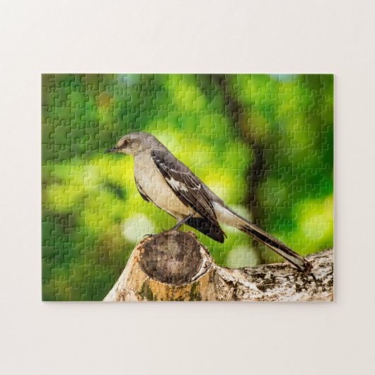 Spotlijster Florida. Legpuzzel (Horizontaal)