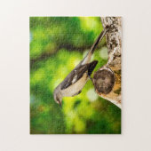 Spotlijster Florida. Legpuzzel (Verticaal)