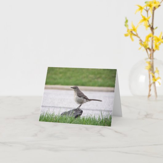 Spotlijster Kaart (Gele Bloem)