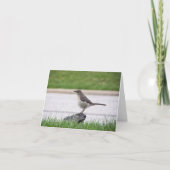 Spotlijster Kaart (Voorkant)