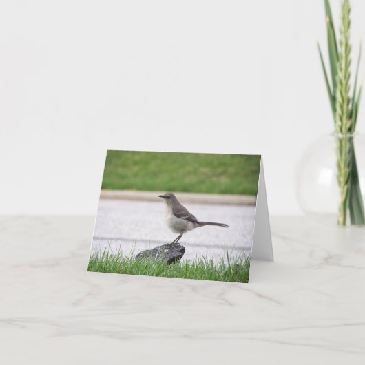 Spotlijster Kaart (Voorkant)