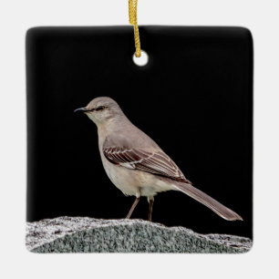 Spotlijster op een grafsteen keramisch ornament