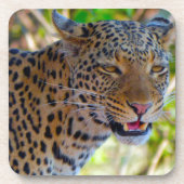 Spotlood Leopard Bier Onderzetter (Voorkant)