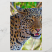 Spotlood Leopard Briefpapier (Voorkant)