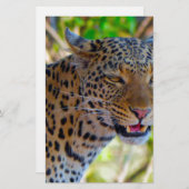 Spotlood Leopard Briefpapier (Voorkant / Achterkant)